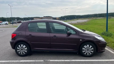 Peugeot 307 2006, kuva 4/16