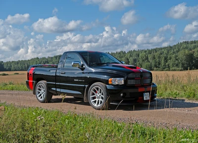 Dodge Ram SRT-10 REG CAB 8.3L V10 VIPER 2004, photo 4/30