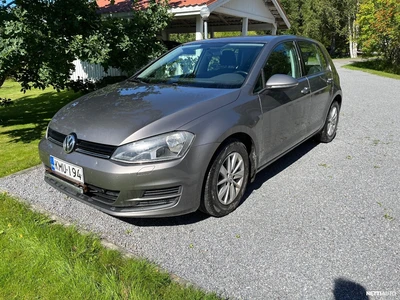 Volkswagen Golf 2014, photo 1/19