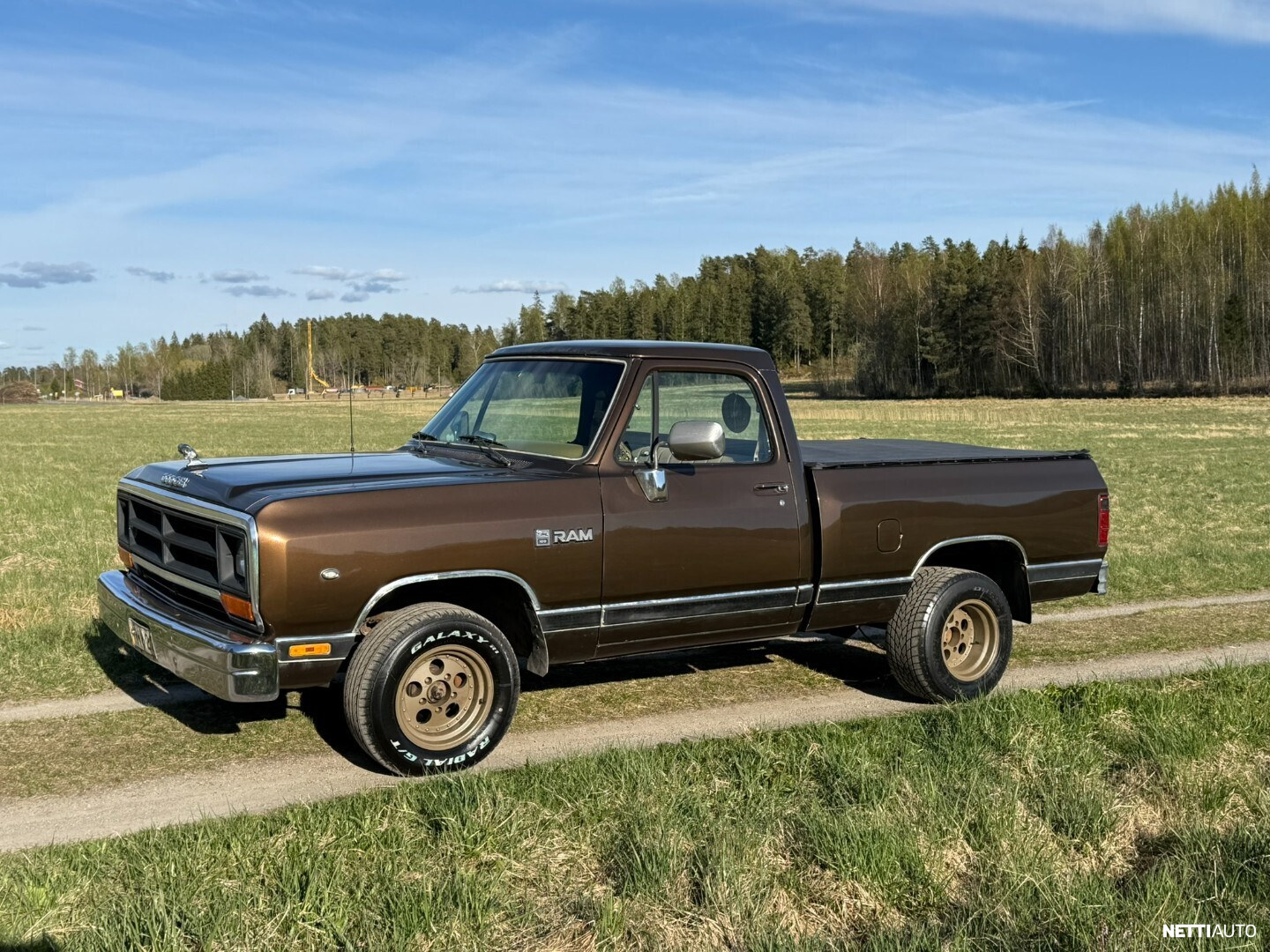 Dodge D100