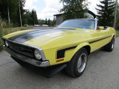 Ford Mustang 5.0 302 C4 1971, kuva 1/10