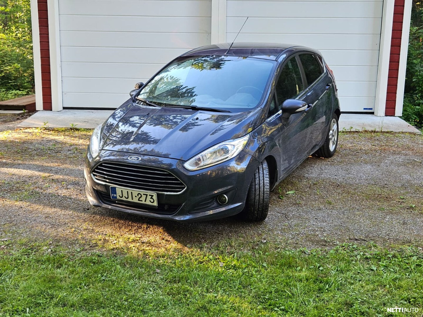 Ford Fiesta 2013, photo 2/19