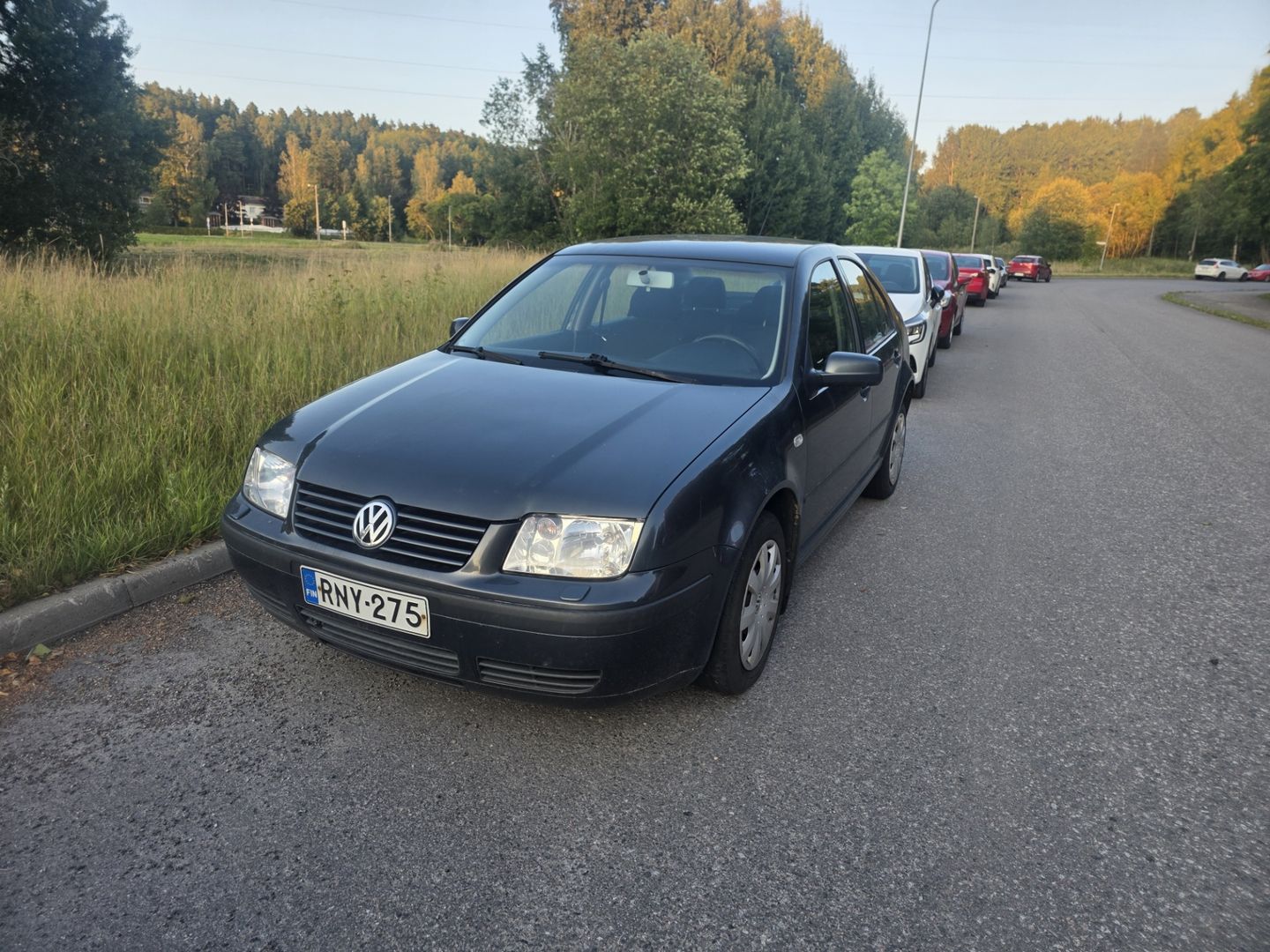 Volkswagen Bora