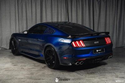 Ford Mustang 5.0 V8 "Shelby GT500"-Look 2015, photo 7/17
