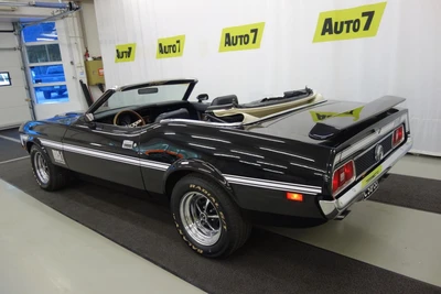 Ford Mustang 1972, kuva 5/19
