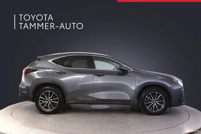 Lexus NX 2024, photo 7/15