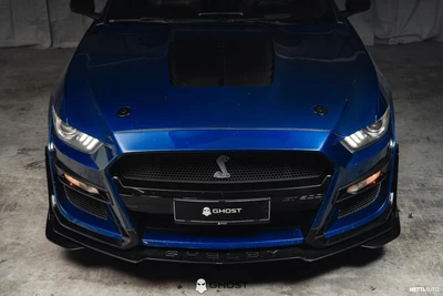 Ford Mustang 5.0 V8 "Shelby GT500"-Look 2015, photo 3/17