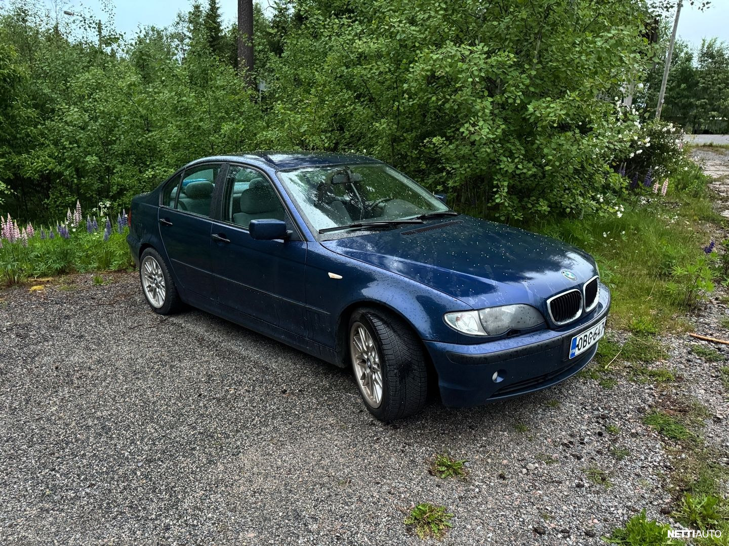 BMW 316