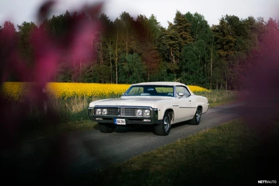 Buick Le Sabre Buick 7.5L V8 1969, photo 1/20