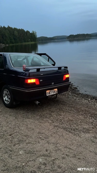 Peugeot 405 GTX style 1995, photo 2/13