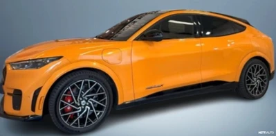 Ford Mustang Mach-E 2021, photo 5/5