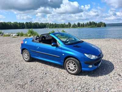 Peugeot 206 2003, photo 2/8