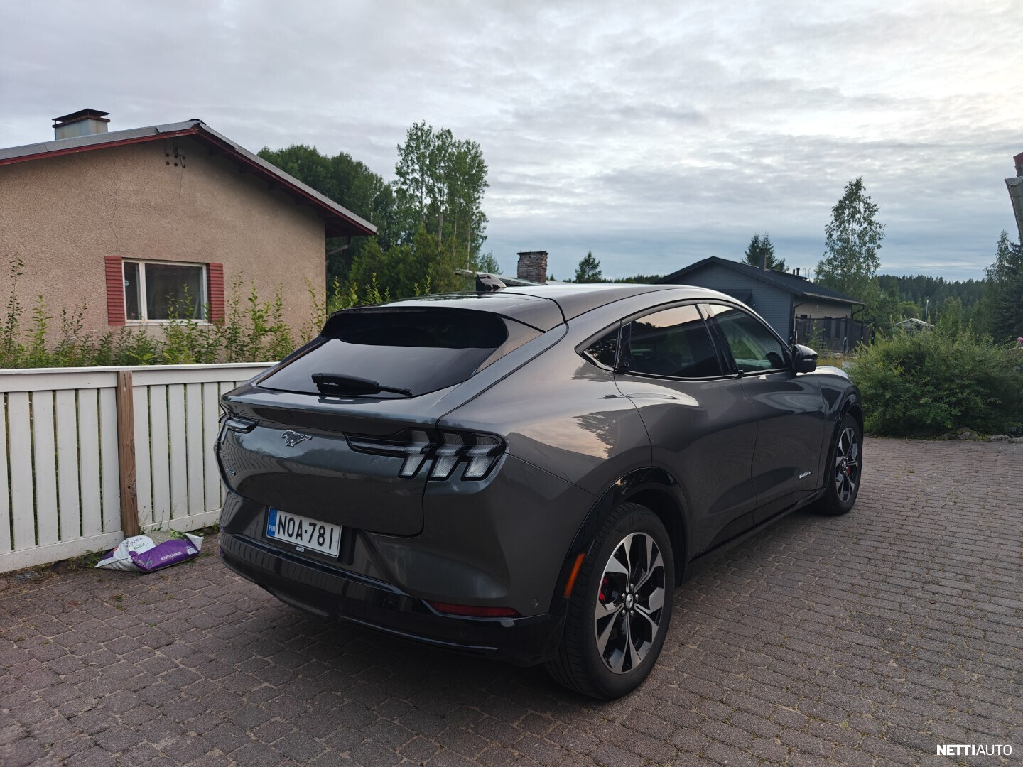 Ford Mustang Mach-E 2021, photo 4/16