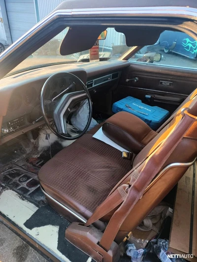 Ford Ranchero 1977, photo 4/8