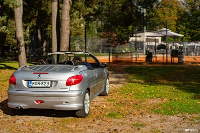 Peugeot 206 CC 2.0 S16 2001, photo 5/10