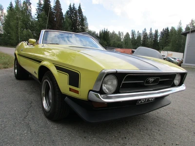 Ford Mustang 5.0 302 C4 1971, kuva 2/10