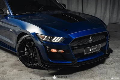 Ford Mustang 5.0 V8 "Shelby GT500"-Look 2015, photo 4/17