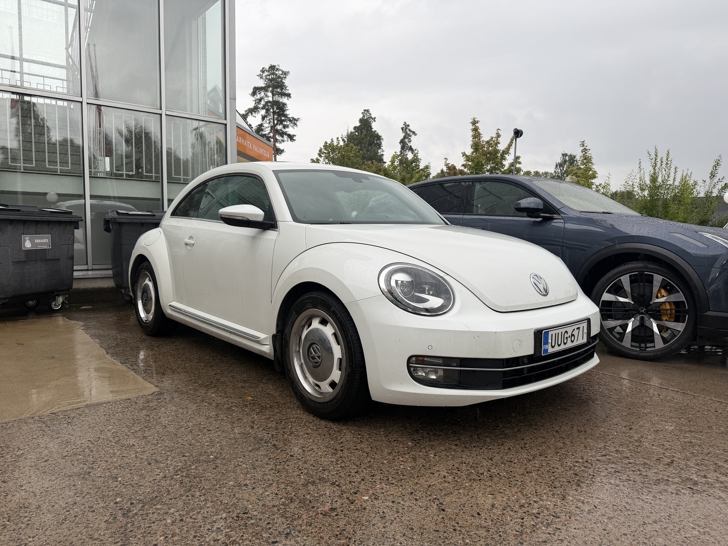 Volkswagen Beetle