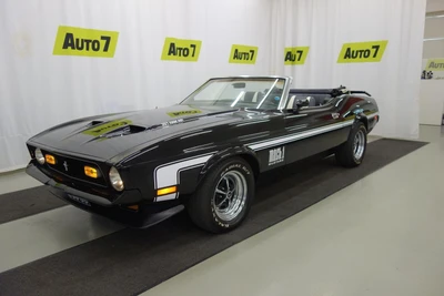 Ford Mustang 1972, kuva 1/19