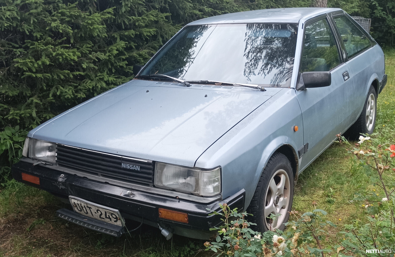 Nissan Cherry