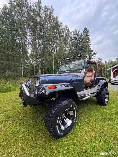 Jeep Wrangler 1994, photo 1/7