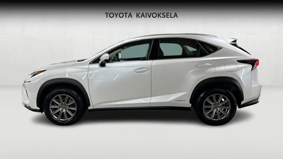 Lexus NX 300h AWD Business Edition 2020, kuva 2/18