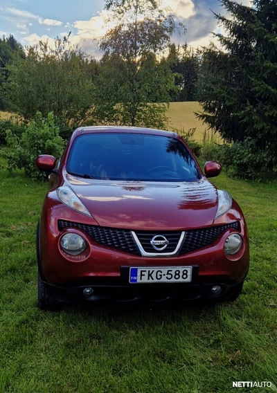 Nissan Juke 2011, photo 2/12