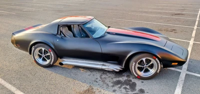 Chevrolet Corvette 1977, kuva 6/24