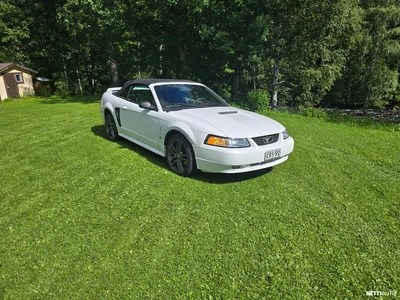 Ford Mustang Avo Mustang 2002, photo 1/12