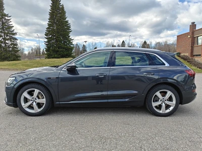 Audi e-tron 2020, photo 4/10