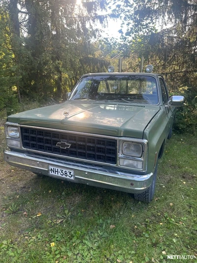 Chevrolet Scottsdale Fleetside Scotsdale 1980, kuva 6/9