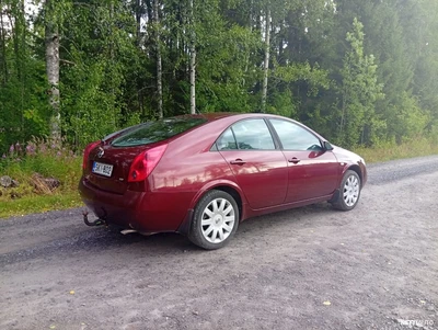Nissan Primera . 2006, kuva 6/8