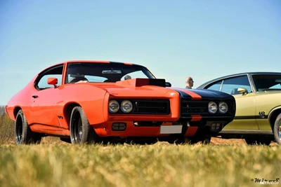 Pontiac GTO 1969, kuva 1/12