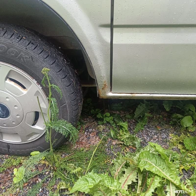 Ford Transit Kombi 300S 2,0TDCi 100hv 2006, photo 6/10