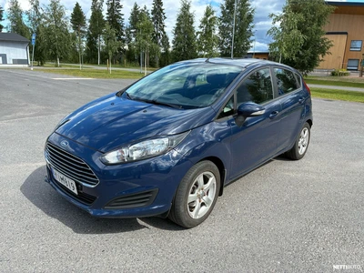 Ford Fiesta 2013, photo 4/16