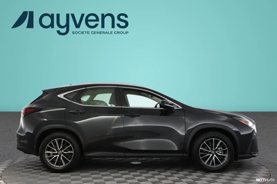Lexus NX 350h AWD Business 2023, kuva 3/12