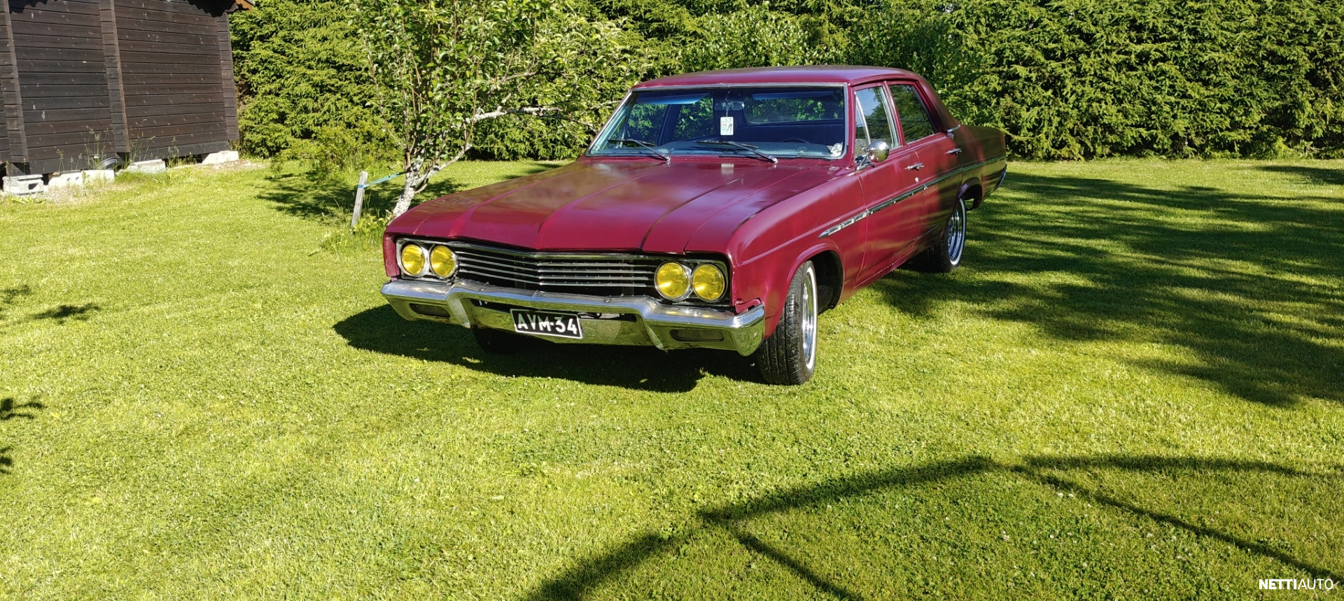 Buick Special
