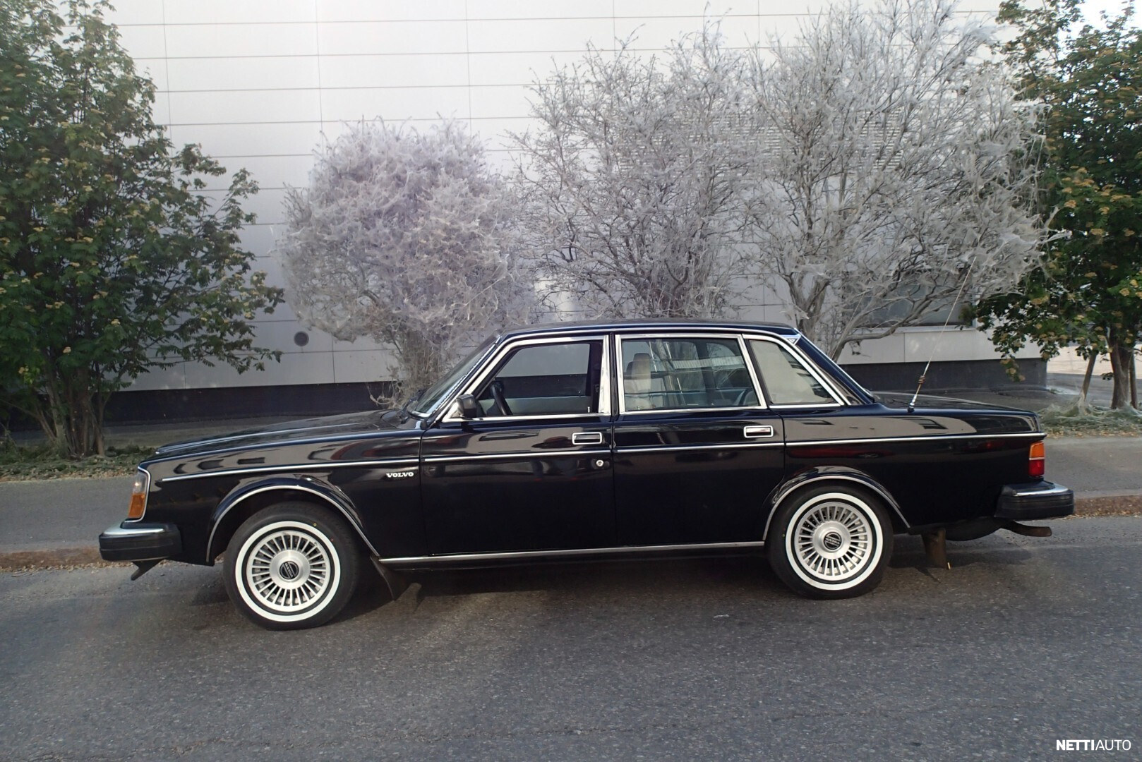 Volvo 264