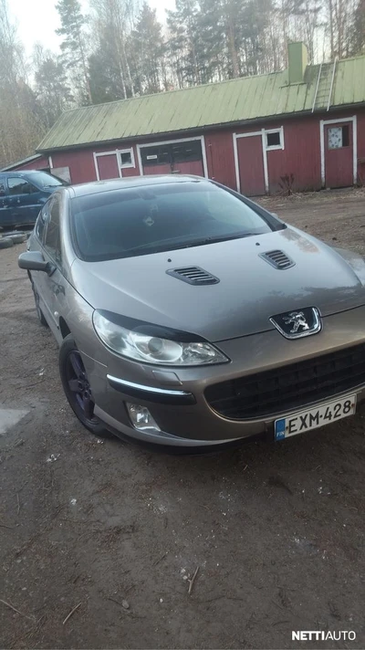 Peugeot 407 2004, photo 3/5