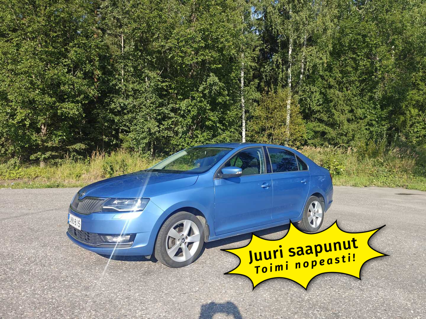 Skoda Rapid