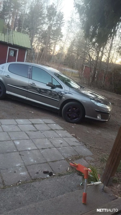 Peugeot 407 2004, photo 2/5