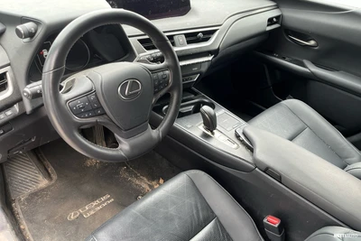 Lexus UX 300e Premium 2022, photo 6/14