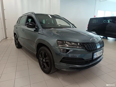 Skoda Karoq 2019, photo 7/33