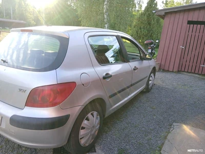 Peugeot 307 2003, kuva 6/9