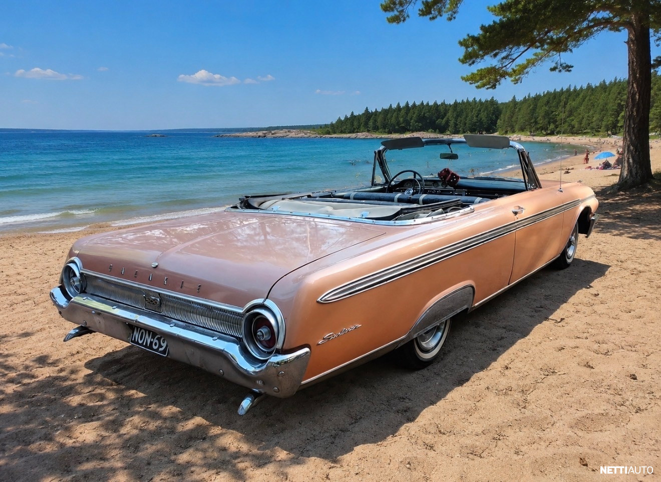 Ford Galaxie