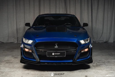 Ford Mustang 5.0 V8 "Shelby GT500"-Look 2015, photo 2/17