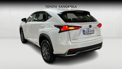 Lexus NX 300h AWD Business Edition 2020, kuva 3/18
