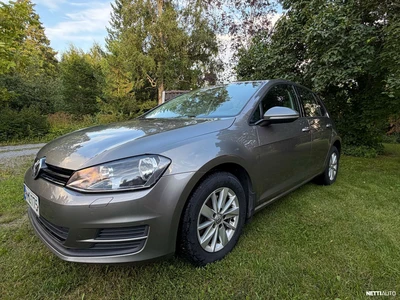 Volkswagen Golf 2013, photo 4/10
