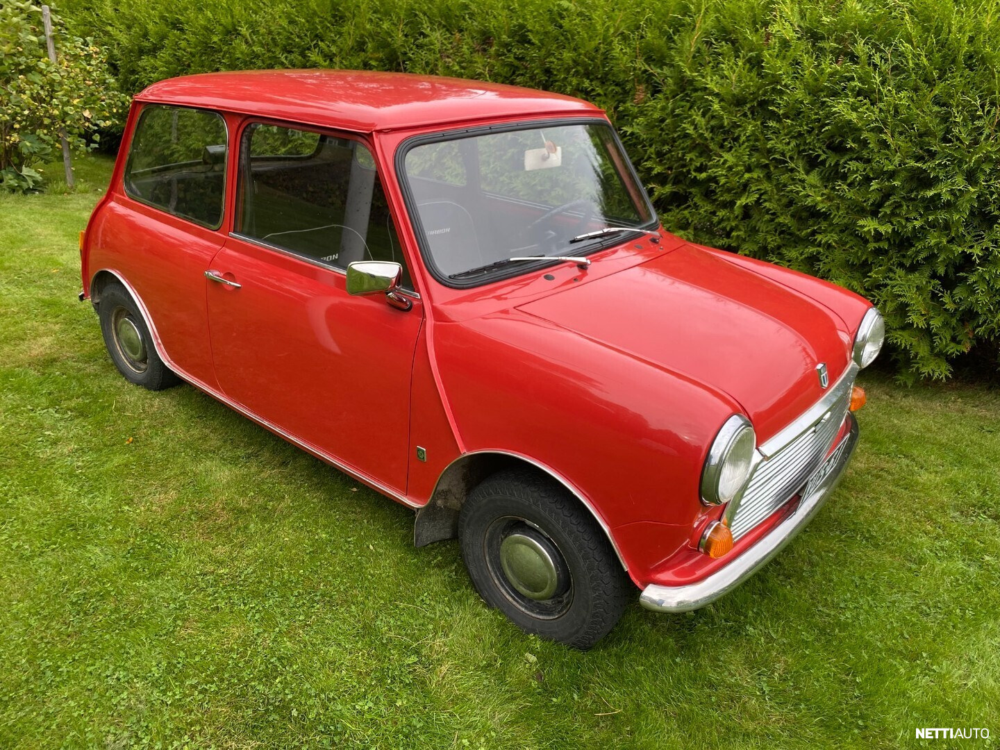 Morris Mini