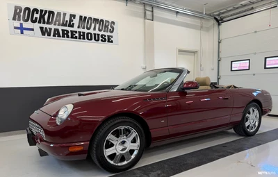 Ford Thunderbird 2004, photo 1/29